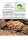 The Book of Monitor Lizards