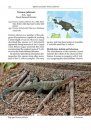 The Book of Monitor Lizards