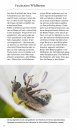 Welche Wildbiene ist das? Einfach Erkennen und Bestimmen, Extra: Anleitung für Nisthilfen [Which Wild Bee is That? Easy to Recognize and Identify, Extra: Instructions for Nesting Aids]