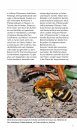 Welche Wildbiene ist das? Einfach Erkennen und Bestimmen, Extra: Anleitung für Nisthilfen [Which Wild Bee is That? Easy to Recognize and Identify, Extra: Instructions for Nesting Aids]