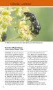 Welche Wildbiene ist das? Einfach Erkennen und Bestimmen, Extra: Anleitung für Nisthilfen [Which Wild Bee is That? Easy to Recognize and Identify, Extra: Instructions for Nesting Aids]