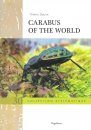 Carabus of the World