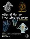 Atlas of Marine Invertebrate Larvae