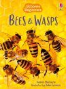 Bees & Wasps Usborne Beginners