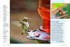 Ultimate Guide to Hummingbirds