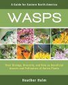 Wasps – A Guide for Eastern North America