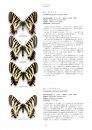 Papilionidae of the World [Japanese]