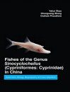 Fishes of the Genus Sinocyclocheilus (Cypriniformes: Cyprinidae) in China