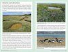 Field Guide to Coastal Wildflowers of Britain, Ireland and Northwest Europe