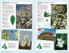 Field Guide to Coastal Wildflowers of Britain, Ireland and Northwest Europe