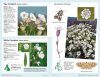 Field Guide to Coastal Wildflowers of Britain, Ireland and Northwest Europe