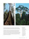 The World Atlas of Trees and Forests