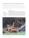 The World Atlas of Trees and Forests