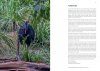 Wildlife of Tropical North Queensland