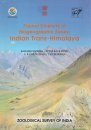 Faunal Diversity of Biogeographic Zones: Indian Trans-Himalaya