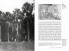 Enraciner l’Empire: Une Autre Histoire du Jardin Botanique de Calcutta (1860-1910) [Grounding the Empire: Another Story of the Calcutta Botanical Garden (1860-1910)]