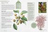 The Kew Gardener's Guide to Growing Trees