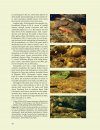 The Ecology and Biogeography of Sri Lanka