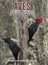 The Birds of Tierra del Fuego / Aves de Tierra del Fuego