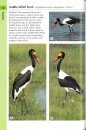 Birds of South Africa