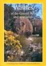 Wattles of the Granite Belt and Surrounds