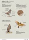 Handboek Europese Vogels: Alle Kenmerken in Beeld [Handbook of European Birds: All Characteristics in Pictures] (2-Volume Set)