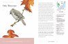 A Field Guide to Songbirds of North America