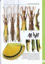 A Taxonomic Guide to the Stick Insects of Peninsular Malaysia, Volume 1