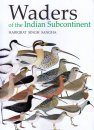 Waders of the Indian Subcontinent