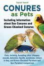 Conures as Pets