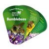 Identification Guide to Ireland's Bumblebees