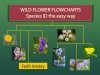 Wild Flower Flowcharts