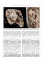 The Osteology of Haya griva (Dinosauria: Ornithischia) from the Late Cretaceous of Mongolia