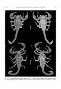 Systematics of the Relictual Asian Scorpion Family Pseudochactidae Gromov, 1998, with a Review of Cavernicolous, Troglobitic, and Troglomorphic Scorpions