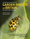 An Identification Guide to Garden Insects of Britain and North-West Europe