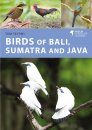 Birds of Bali, Sumatra and Java