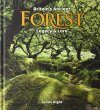 Britain's Ancient Forest