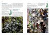 Lichens of Finland