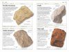 DK Handbook: Rocks & Minerals