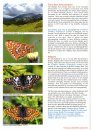 European Butterflies, Issue 5: Spring 2022