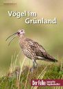 Vögel im Grünland [Grassland Birds]