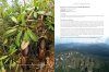 Nepenthes: The Tropical Pitcher Plants (3-Volume Set)