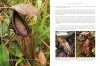 Nepenthes: The Tropical Pitcher Plants (3-Volume Set)