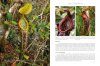 Nepenthes: The Tropical Pitcher Plants (3-Volume Set)