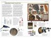 DK Handbook: Fossils