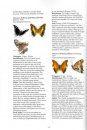 Butterflies of Botswana and Their Natural History
