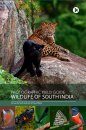 Photographic Field Guide: Wildlife of South India