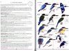 The Identification Guide to the Difficult Small Birds of Australia