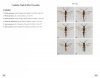 Symphytes d'Europe [Sawflies of Europe]