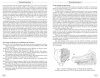 Bourdons d'Europe et des Contrées Voisines [Bumblebees of Europe and Neighbouring Regions]